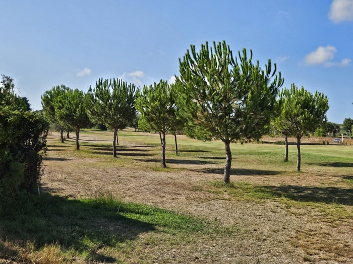 Lotto edificabile nel Golf Club di Miglianico