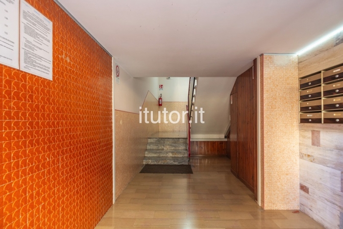 Luminoso appartamento con due camere