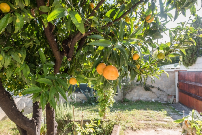 Casa vista mare con due unità indipendenti