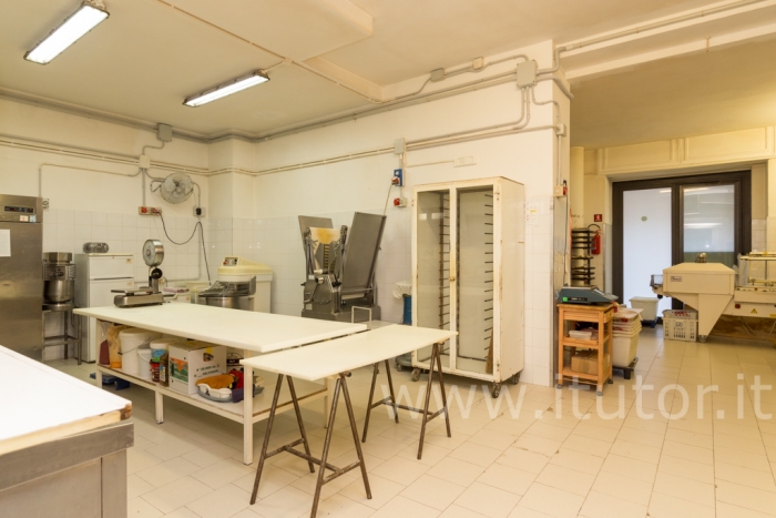 VENDESI LOCALE/APPARTAMENTO/LOFT DI 365 MQ. CON GIARDINO ESCLUSIVO