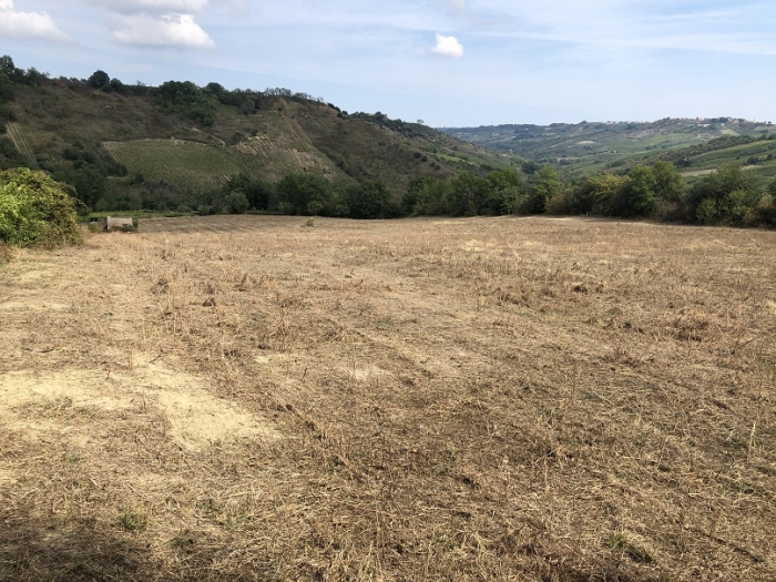 Terreno agricolo irriguo