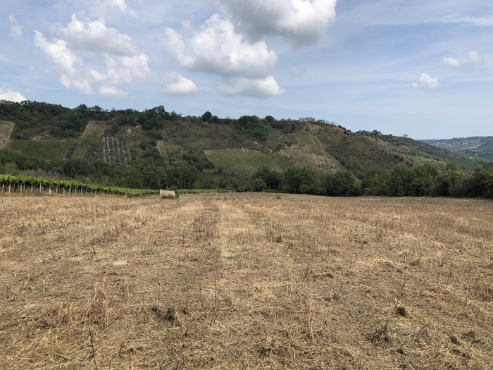 Terreno agricolo irriguo