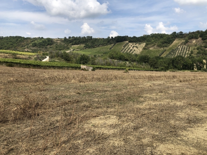 Terreno agricolo irriguo