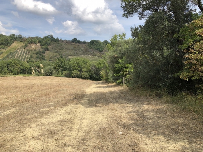 Terreno agricolo irriguo