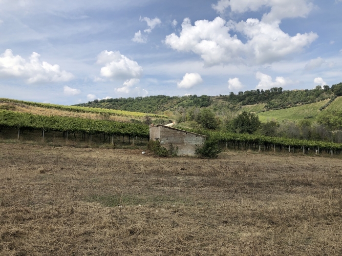 Terreno agricolo irriguo